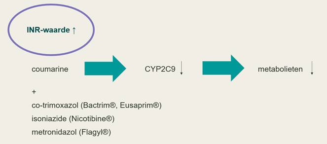 polyfarmacie 1.png